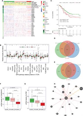 Down-regulated expression of CDK5RAP3 and UFM1 suggests a poor prognosis in gastric cancer patients